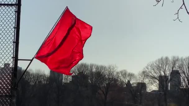 Bandeira Vermelha Soprando Vento Parque Central Nova York Dia Outono — Vídeo de Stock