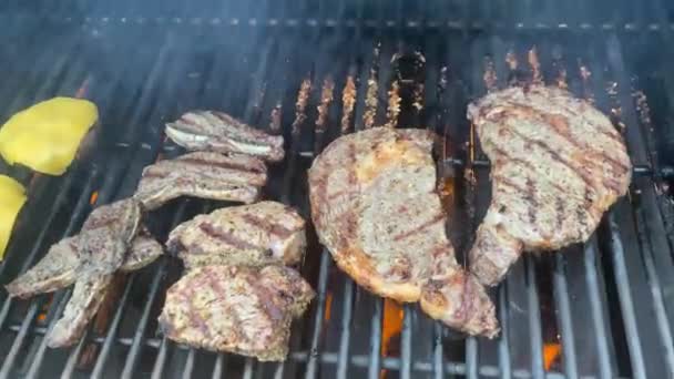 在假日的后院 在燃烧的煤气炉上烤着一锅一锅锅一锅的牛肉和芝士汉堡 — 图库视频影像