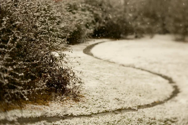 街道在下雪时 — 图库照片