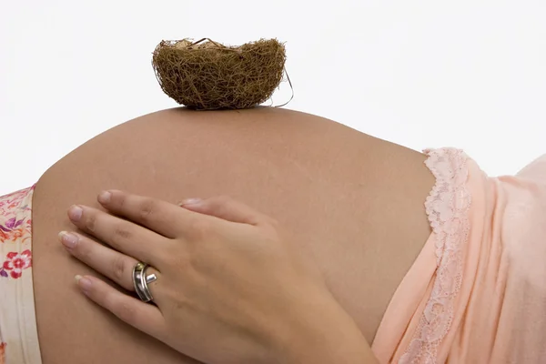 Pregnant lady with nest — Stock Photo, Image