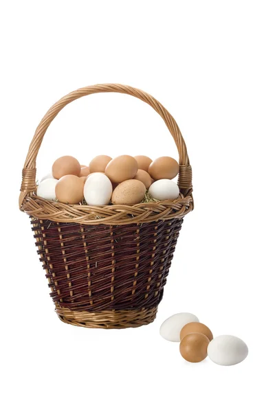 新鲜鸡蛋的篮子 — 图库照片
