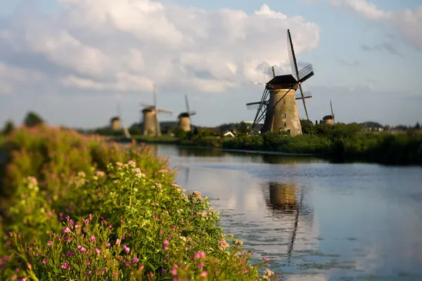 View of the mill and the river — Stock Photo, Image