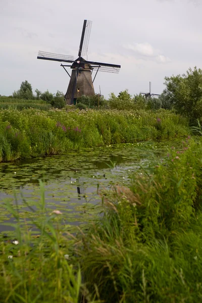 View of the mill — Stock Photo, Image