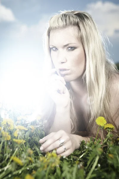 Young female model on outdoor meadow — Stock Photo, Image