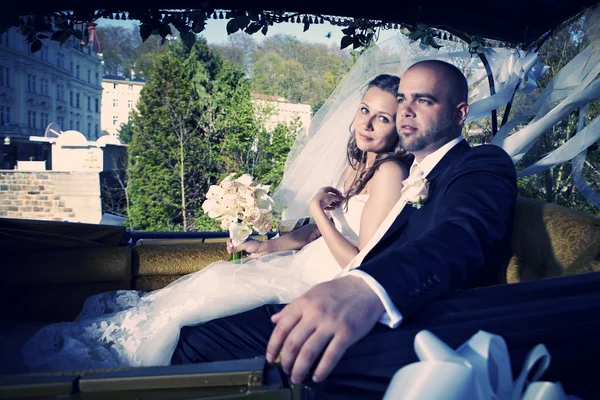 Wedding couple — Stock Photo, Image