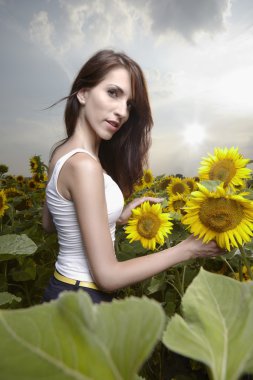 Ayçiçeği tarlası esmer kız