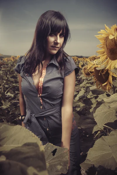 Brunette girl in a field of sunflowers — Stock Photo, Image