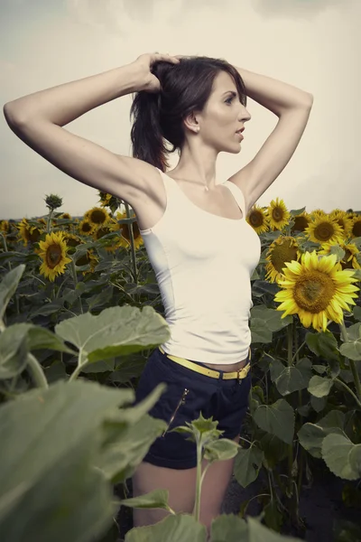 Chica morena en un campo de girasoles —  Fotos de Stock