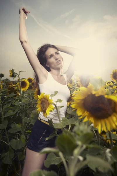 Brunette girl in a field of sunflowers — Stock Photo, Image