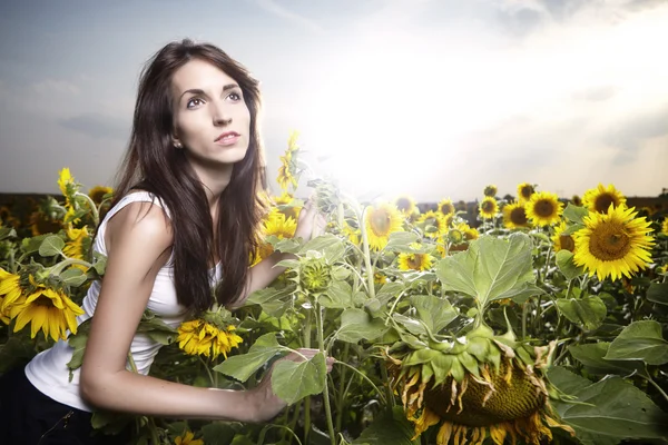 Brunette girl in a field of sunflowers — Stock Photo, Image