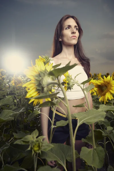 Brunett tjej i ett fält av solrosor — Stockfoto