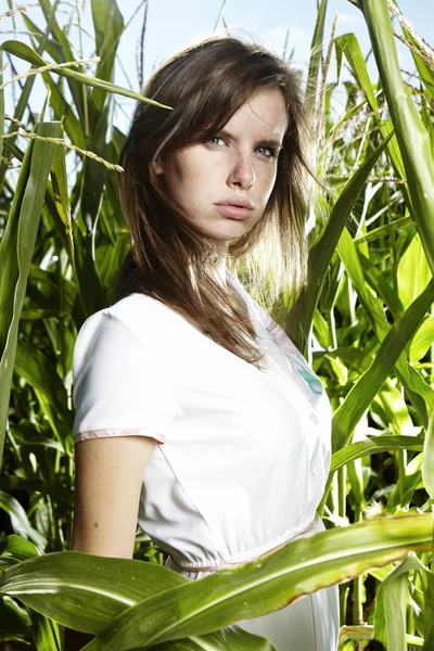 Brunette girl posing in nature — Stock Photo, Image