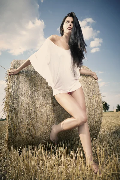 Brunette fille dans un champ — Photo