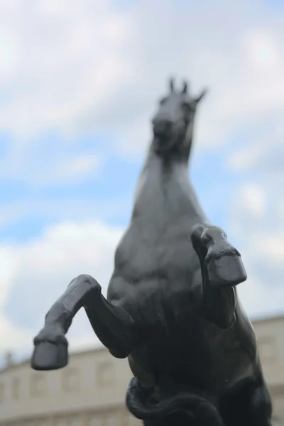 Statua cavallo equestre — Foto Stock