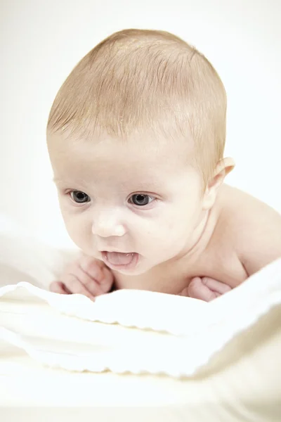 Newborn boy on pillow — Stock Photo, Image