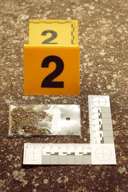 Suç kanıtı olarak polis tarafından ele geçirilen kurumuş marihuana.