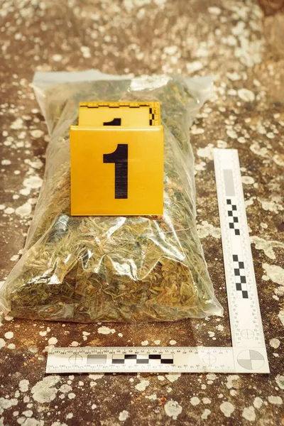 Sušená Marihuana Zabavená Policejním Úřadem Jako Důkaz Zločinu — Stock fotografie