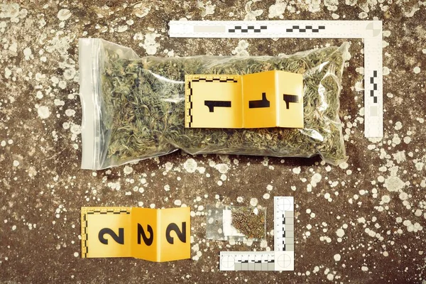 Suç Kanıtı Olarak Polis Tarafından Ele Geçirilen Kurumuş Marihuana — Stok fotoğraf