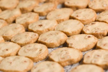 Birinci Cumhuriyet Çekoslovak Cumhurbaşkanı Thomas Garrigue Masaryk 'ın favori kurabiyeleri