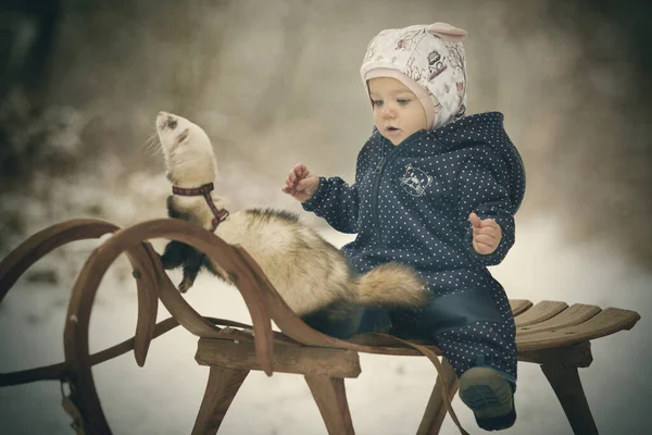 Bir yaşında bir bebek, dağ gelinciği arkadaşıyla tahta bir kızağın üstünde.