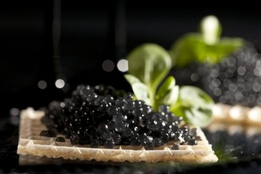 Sandwiches with black caviar on black background