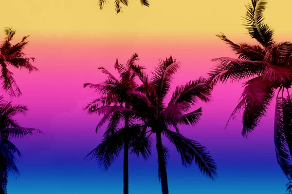 Kokospalmen Blätter Bäume Auf Dem Wolkenblauen Himmel Mit Schönen Sonnenuntergang — Stockfoto