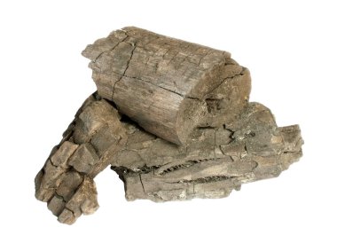 kömür beyaz arkaplanda izole edildi