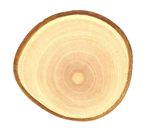Drewniana Deska Cięta Izolowana Białym Tle — Zdjęcie stockowe