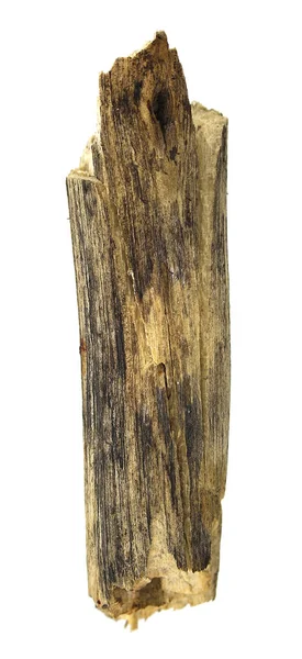 Madeira Log Isolado Fundo Branco — Fotografia de Stock