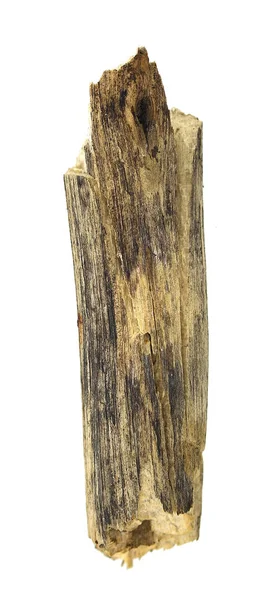 Madeira Log Isolado Fundo Branco — Fotografia de Stock