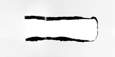 yırtık kağıt arkaplan, kağıt yuva kopyalama alanı yaratıcı reklam metni için