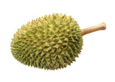 Durian beyaz arkaplanda izole edildi