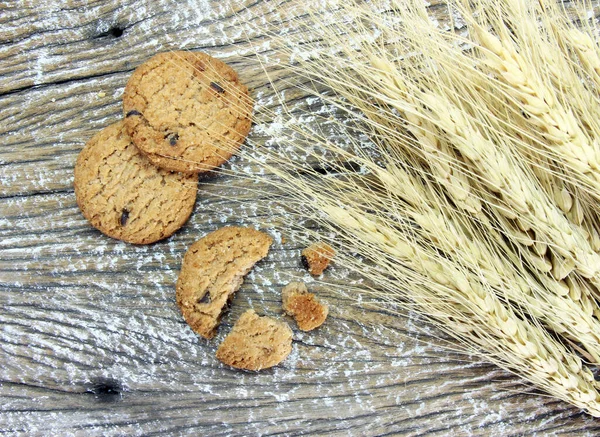 round chocolate chip cookie with crumbs and dried barley plant on wood table background