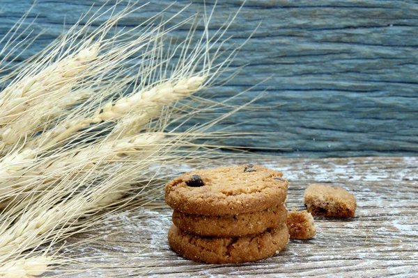 round chocolate chip cookie with crumbs and dried barley plant on wood table background