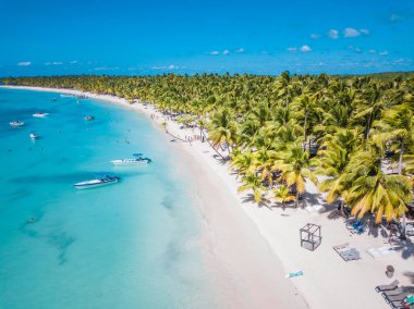 Dominik 'in Saona Adası' ndaki sahil manzarası. Temiz mavi suyu ve yeşil palmiyeleri olan Karayip Denizi. Tropik plaj. Dünyanın en iyi plajı..