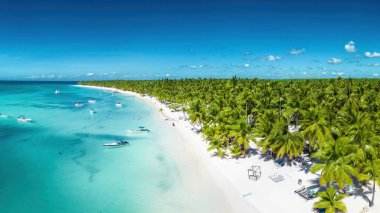 Dominik 'in Saona Adası' ndaki sahil manzarası. Temiz mavi suyu ve yeşil palmiyeleri olan Karayip Denizi. Tropik plaj. Dünyanın en iyi plajı..