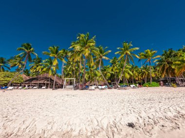 Dominik 'teki Saona Adası. Temiz mavi suyu ve yeşil palmiyeleri olan Karayip Denizi. Tropik plaj. Dünyanın en iyi plajı..