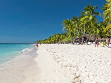 Dominik 'teki Saona Adası. Temiz mavi suyu ve yeşil palmiyeleri olan Karayip Denizi. Tropik plaj. Dünyanın en iyi plajı..