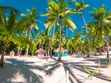 Dominik 'teki güzel Saona Adası. Temiz mavi suyu ve yeşil palmiyeleri olan Karayip Denizi. Tropik plaj. Dünyanın en iyi plajı..