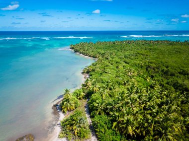 Punta Cana 'daki Bavaro plajı, Domincan republc. Palmiyelerle dolu tropik plajda sıcak güneşli bir gün..