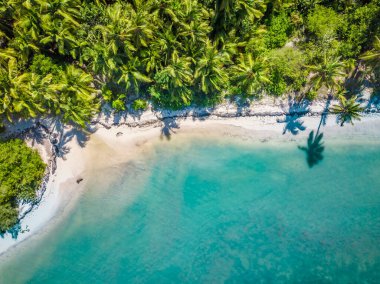 Punta Cana 'daki güzel Bavaro plajının havadan görünüşü, Domincan iğrençliği. Palmiyelerle dolu tropik plajda sıcak güneşli bir gün..