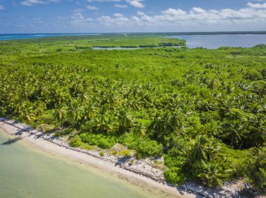 Punta Cana 'daki güzel Bavaro plajının havadan görünüşü, Domincan iğrençliği. Palmiyelerle dolu tropik plajda sıcak güneşli bir gün..