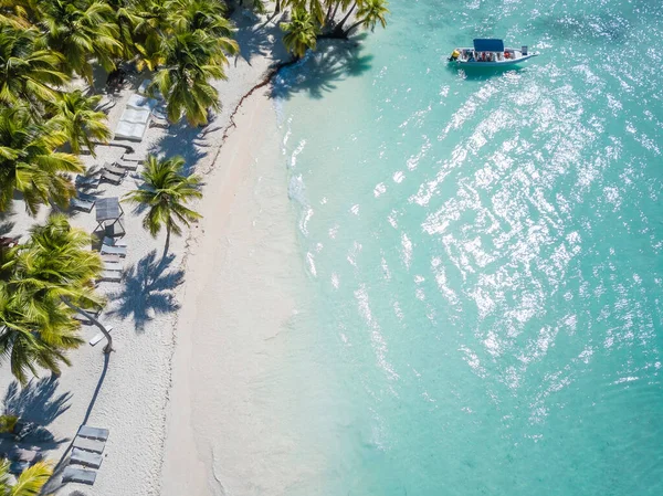 Dominik 'in Saona Adası' ndaki sahil manzarası. Temiz mavi suyu ve yeşil palmiyeleri olan Karayip Denizi. Tropik plaj. Dünyanın en iyi plajı..
