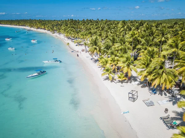 Dominik 'in Saona Adası' ndaki sahil manzarası. Temiz mavi suyu ve yeşil palmiyeleri olan Karayip Denizi. Tropik plaj. Dünyanın en iyi plajı..