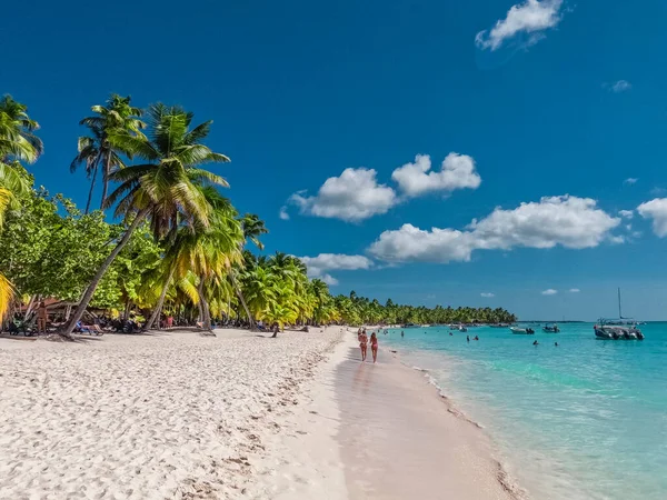 Dominik 'teki Saona Adası. Temiz mavi suyu ve yeşil palmiyeleri olan Karayip Denizi. Tropik plaj. Dünyanın en iyi plajı..