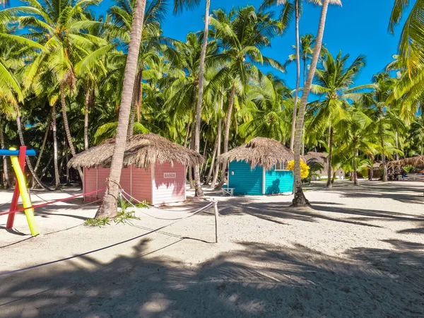 Dominik 'teki güzel Saona Adası. Temiz mavi suyu ve yeşil palmiyeleri olan Karayip Denizi. Tropik plaj. Dünyanın en iyi plajı..