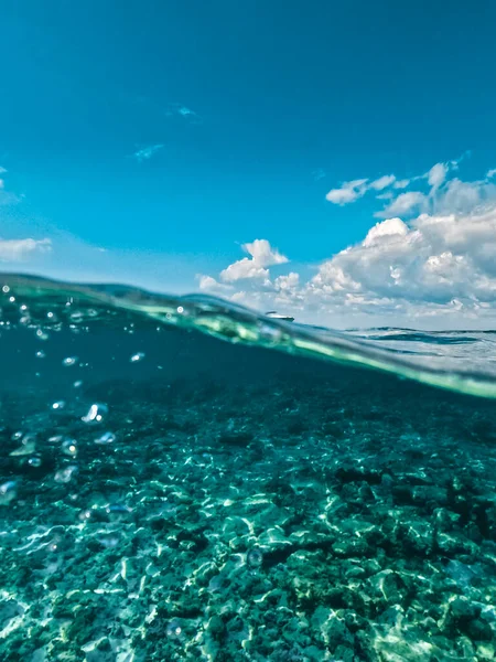 Domincan Cumhuriyeti 'ndeki Catalina Adası' nda horluyor. Güzel resif, sadece bir tanesi turistlere ayrıldı..