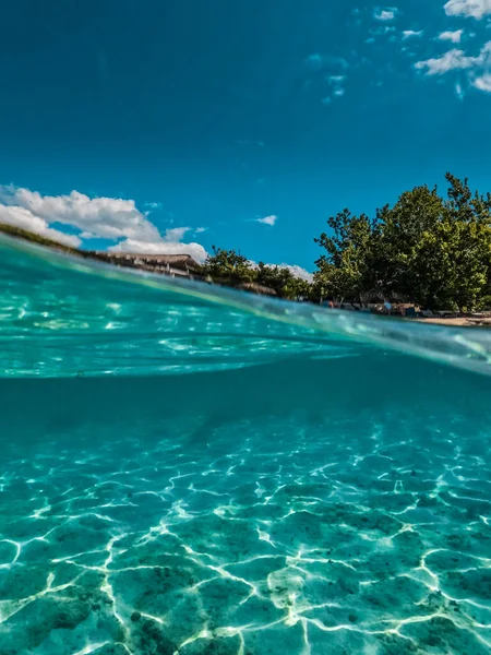 Domincan Cumhuriyeti 'ndeki Catalina Adası' nda horluyor. Güzel resif, sadece bir tanesi turistlere ayrıldı..