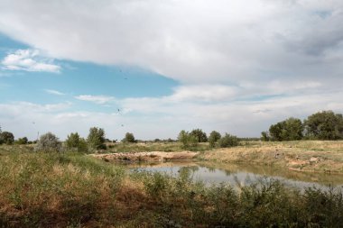 Yaz manzarası, kuşlar sudan havalanır.