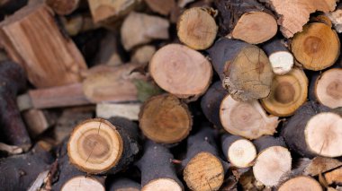 Bir avuç doğranmış odun.